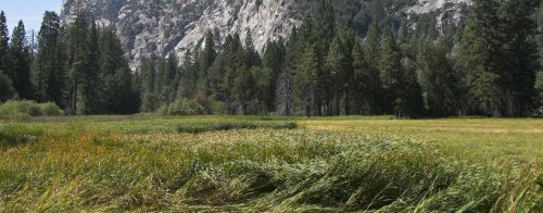Zumwalt Meadow