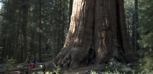 Zumwalt Meadow