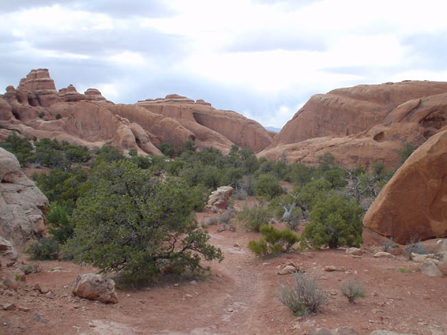 DSC00803