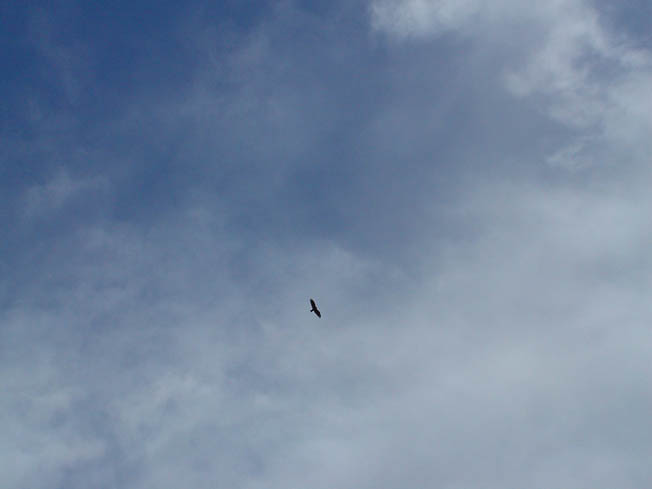 DSC00852