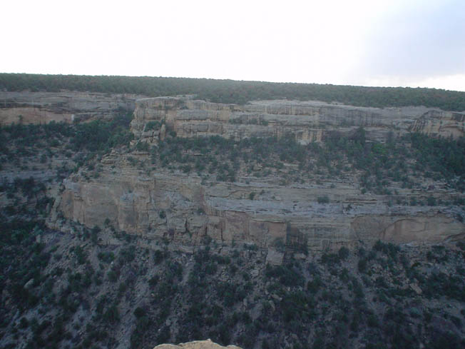 DSC00869