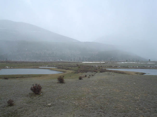 DSC00441