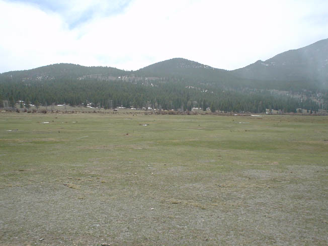 DSC00443
