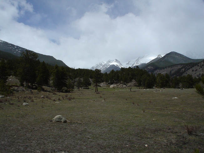 DSC00449