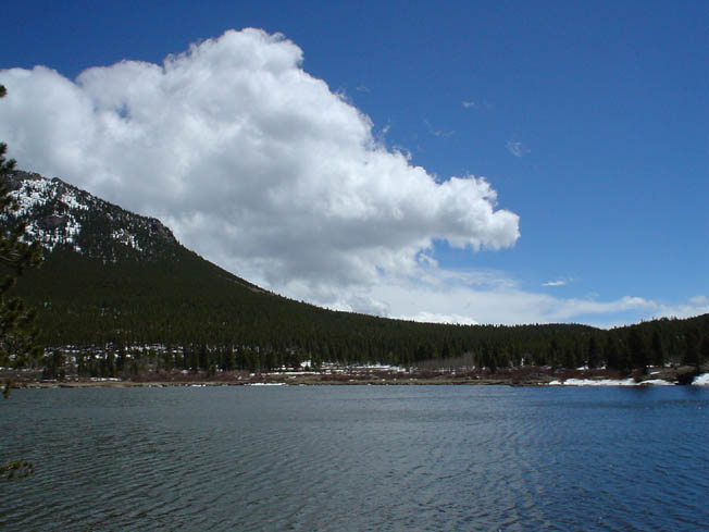 DSC00459