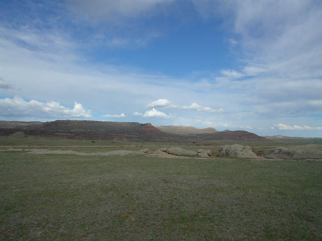 DSC00481