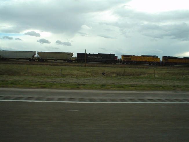 DSC00487