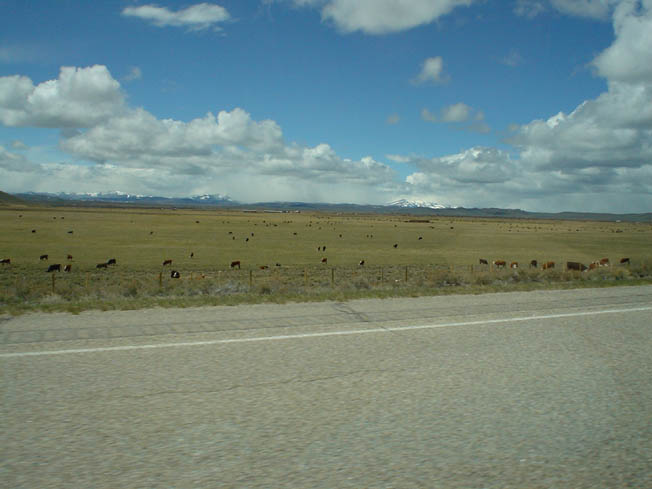 DSC00524