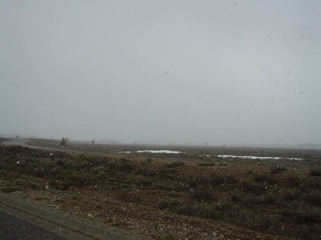 DSC00535