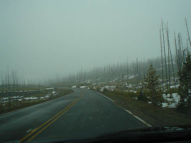 DSC00544