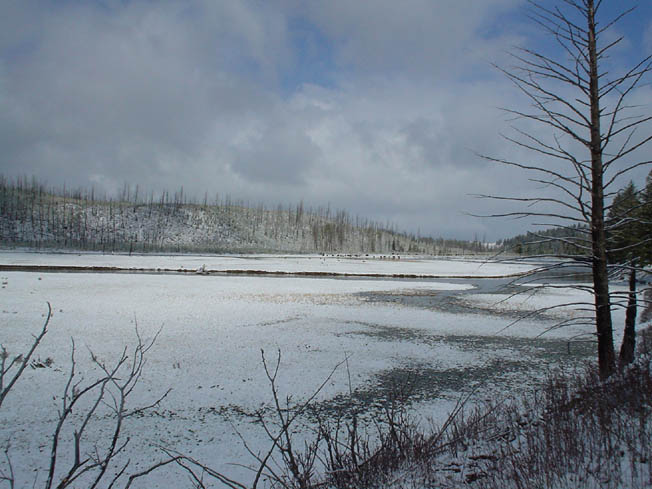 DSC00571