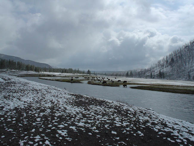 DSC00584