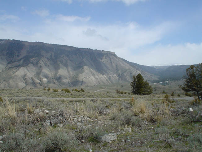 DSC00640