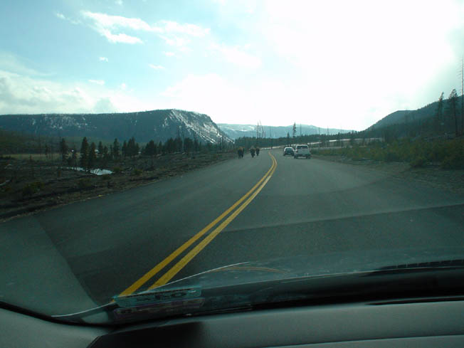 DSC00686