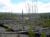 DSC00630