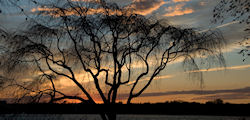 Potomac River Sunset