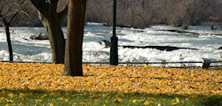 Niagara Falls State Park