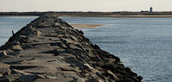Long Point, Cape Cod, MA