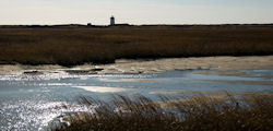 Long Point, Cape Cod, MA